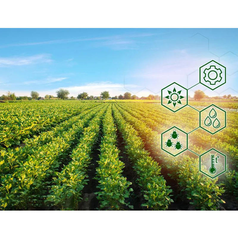 Smart Agriculture System